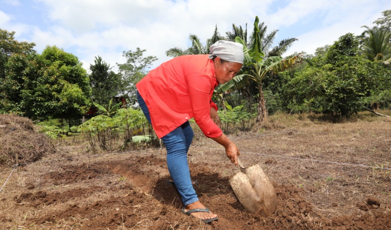 Aida Rodríguez Reyes  cultiva mucho más que alimentos: siembra un futuro sostenible 