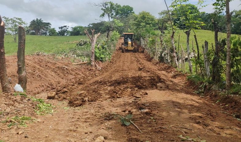 Caminos rurales en Riecito reciben mantenimiento y benefician a productores de piña, aves y ganado 