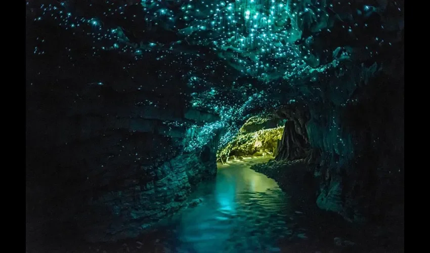 Cuevas Glowworms, Nueva Zelanda.