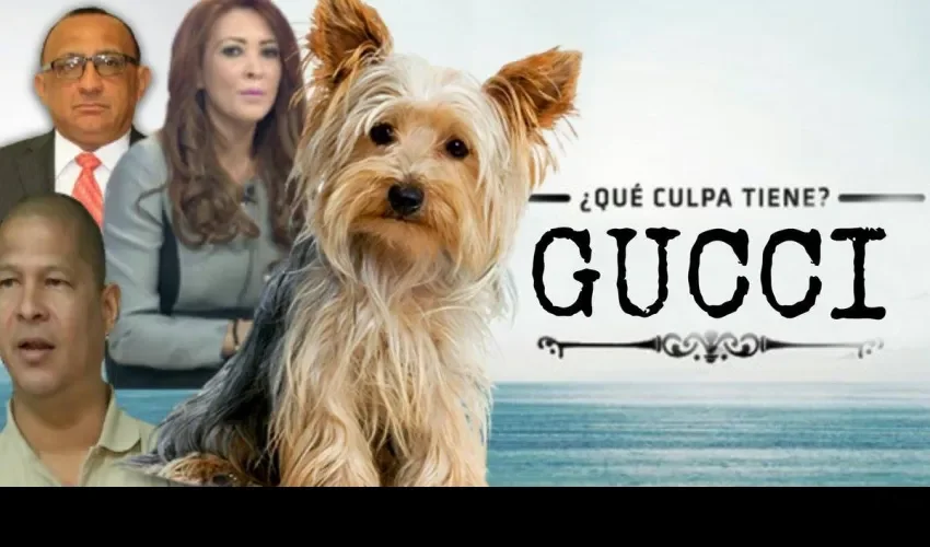 Meme de la viceministra Zulema Sucre y su perro Gucci 