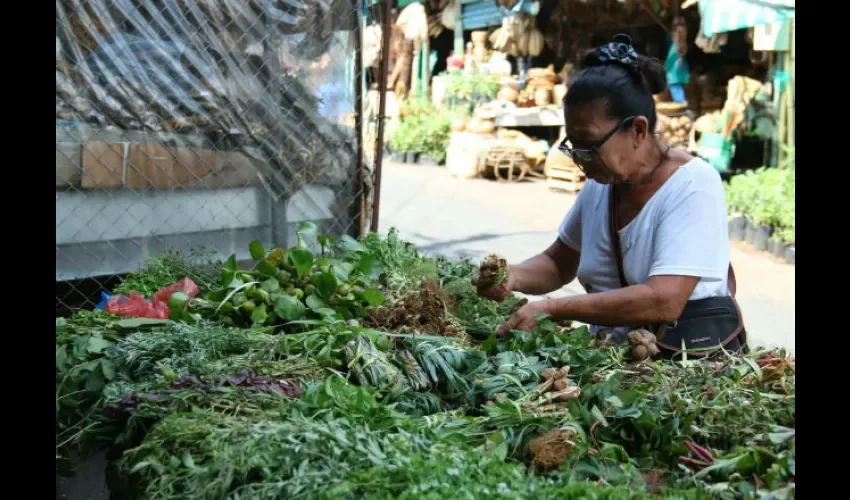 Las hierbas medicinales ayudarán a los que se sobrepasen con comidas y bebidas. Foto/EFE