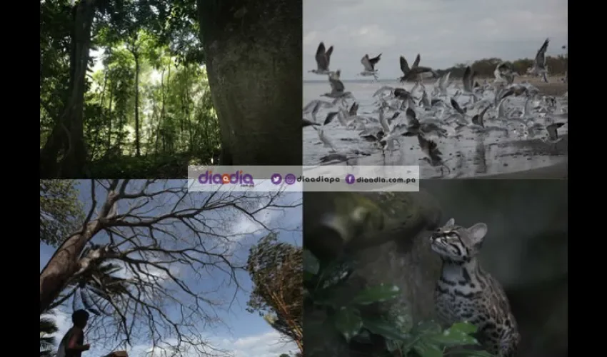 Fotos ilustrativas del planeta Tierra bajo el lente de Roberto Barrios. 