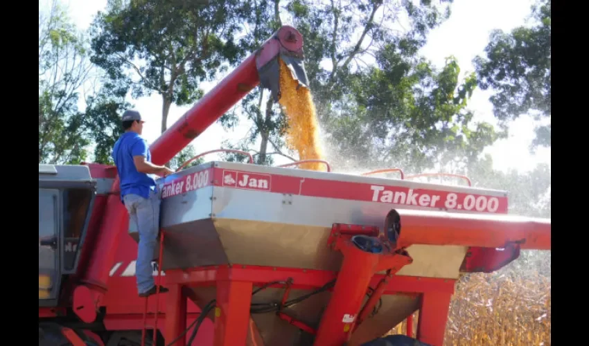 Asociación de Productores de Maíz y Sorgo de Los Santos.