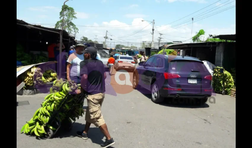 La Alcaldía de Panamá invirtió entre el 2016 y 2017 alrededor de $502 mil en mejoras a estas instalaciones. Fotos: Jean Carlos Díaz