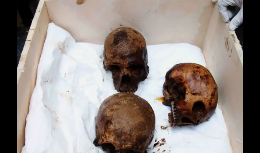 El sarcófago fue desenterrado hace 20 días. Foto: EFE