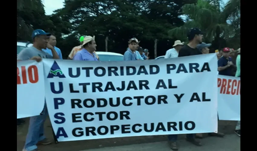 Productores agrícolas de Azuero. 