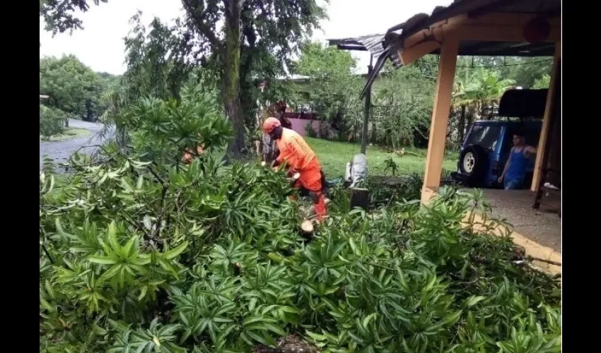 Una pertinaz lluvia siguió cayendo por espacio de una hora en la región. 