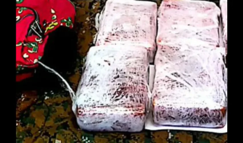 Decomiso de droga en Chiriquí. 
