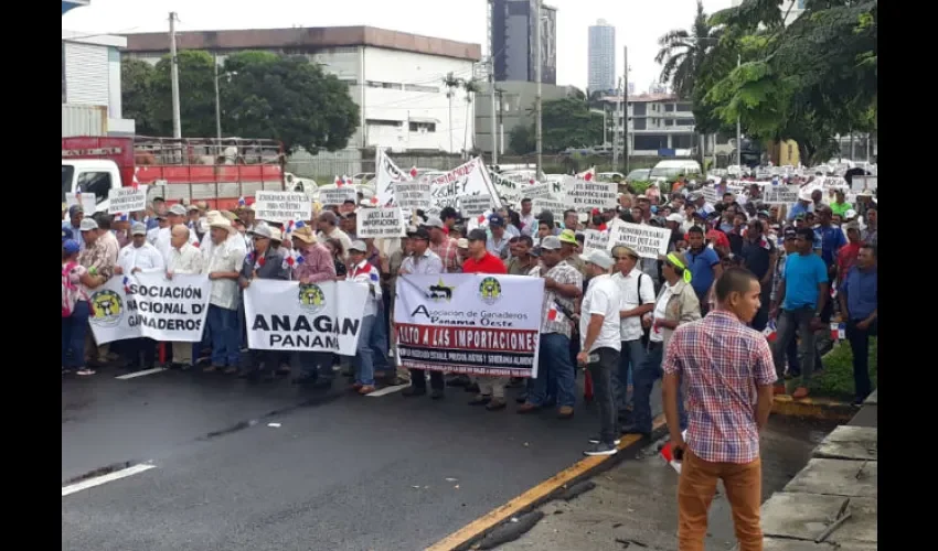 Productores panameños. 