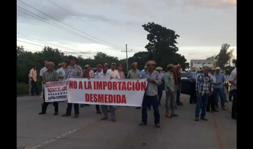 Productores de Azuero.