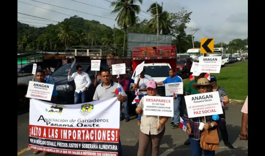 Productores de Panamá Oeste.