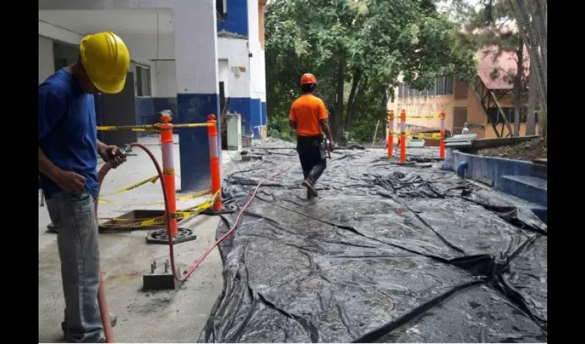 Algunos de los trabajos que se realizan en el IFN. Foto: Jean Carlos Díaz