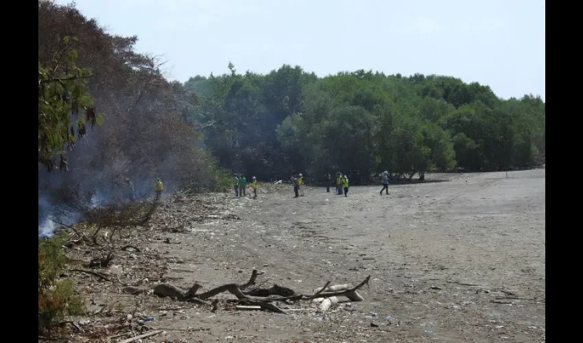 Fue extinguido con éxito. Foto: Audubon Panamá