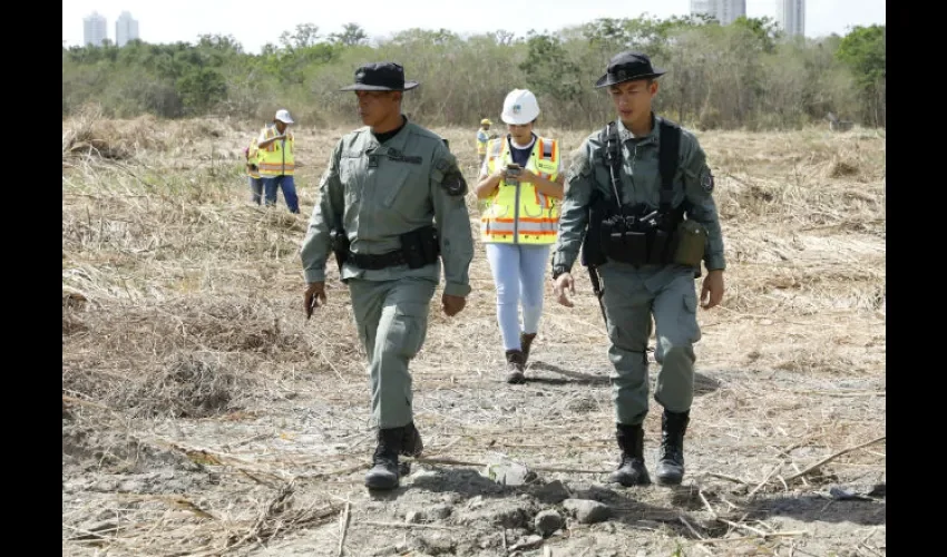 Momentos en que Miambiente hace recorrido en manglares de Juan Díaz. Foto: Cortesía 