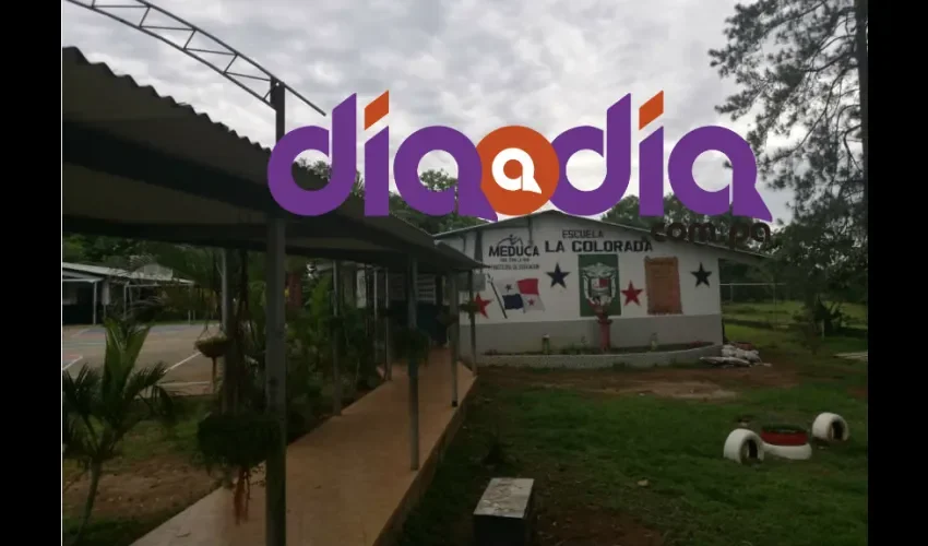 Esperan informe del Minsa y Meduca sobre esta situación. Foto: Thays Domínguez
