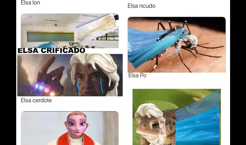 Foto ilustrativa de los memes que han causado montón de risas en el mundo. 