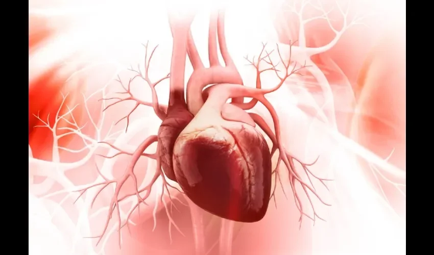 Foto ilustrativa de un corazón. 