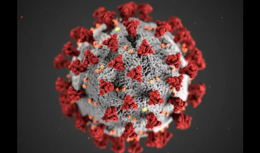 Coronavirus.