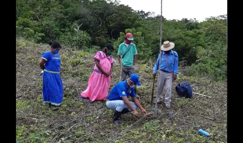 Foto ilustrativa de las donaciones. 