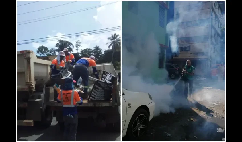 Fumigación.