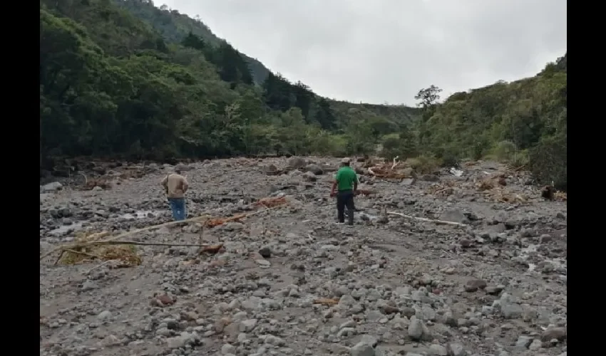 Foto ilustrativa del terreno. 