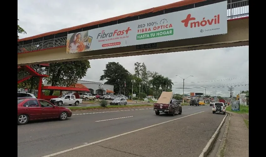 Vista de los puentes elevados. 