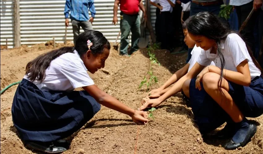 Los estudiantes participaron de las dinámicas. 