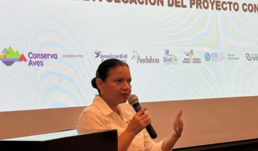 Foto: Cortesía. 