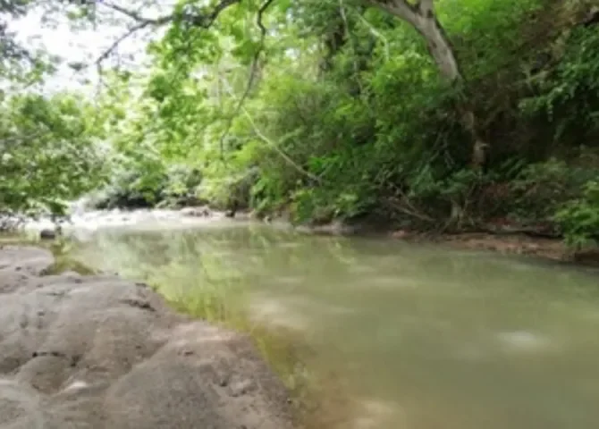  Investigan presunta extracción ilegal de agua del río Mata Ahogado 