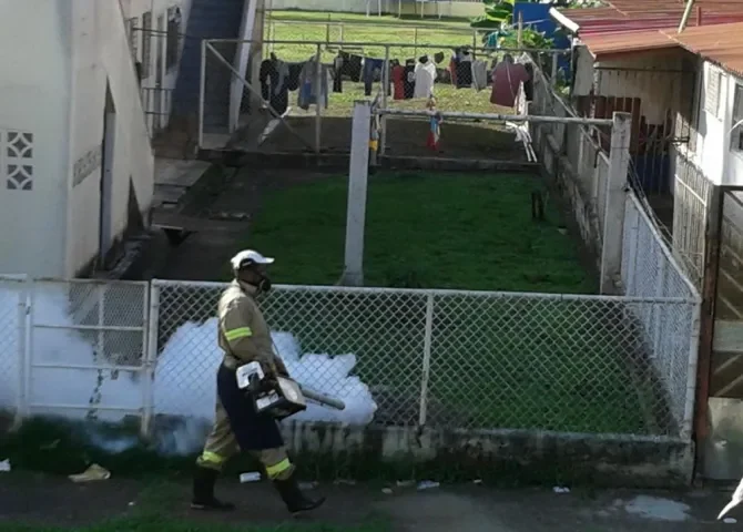   Preocupación por alta incidencia de casos de dengue en Colón  