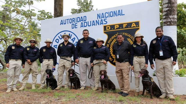 Canes cuidarán seguridad de área de carga de Aeropuerto de Tocumen. Foto: Cortesía