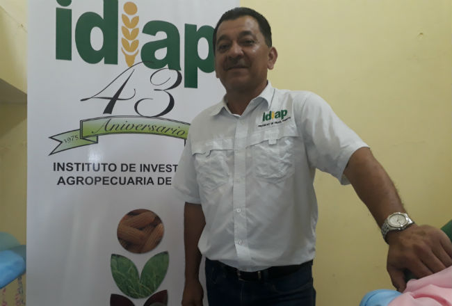 Emigdio Rodríguez tiene más de 30 años trabajando en el sector agro. Foto: Brenda Ducreux