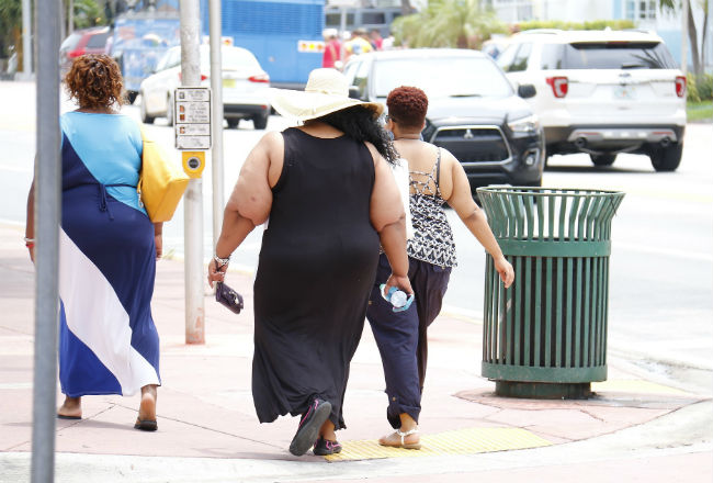 La obesidad es un factor determinante en la enfermedad de hígado graso. Foto: Pixabay