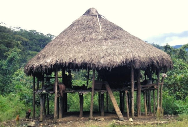 Casas de tambo: las viviendas ancestrales que han cambiado su estilo tradicional 