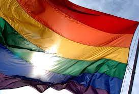 El proyecto de ley 'No diga gay' avanza en medio de la polémica en Florida 