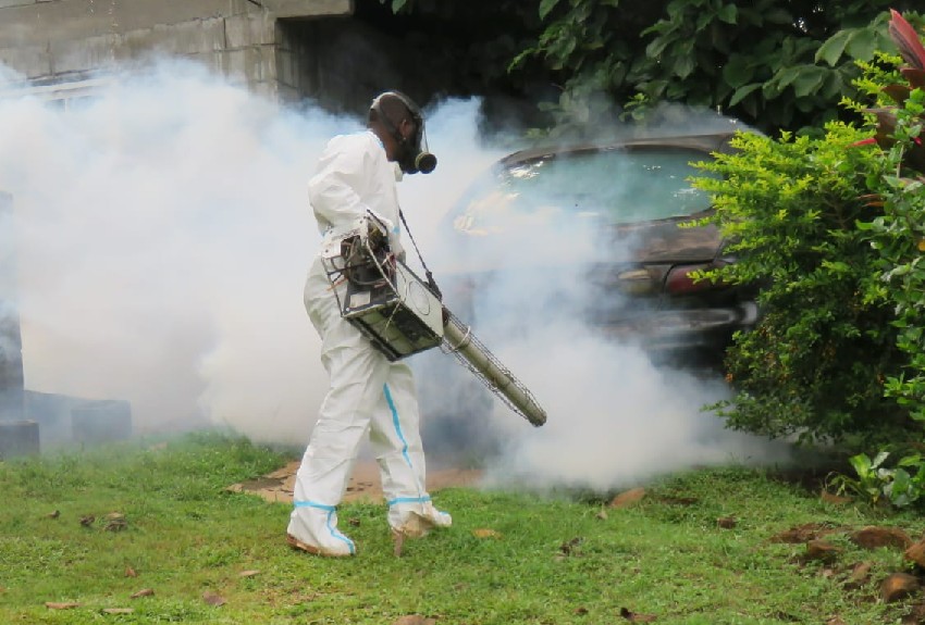 Realizan operativos para erradicar criaderos de mosquitos 