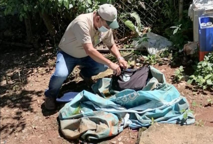 Hacen llamado a la prevención del hantavirus; reportan ocho nuevos casos en Los Santos 
