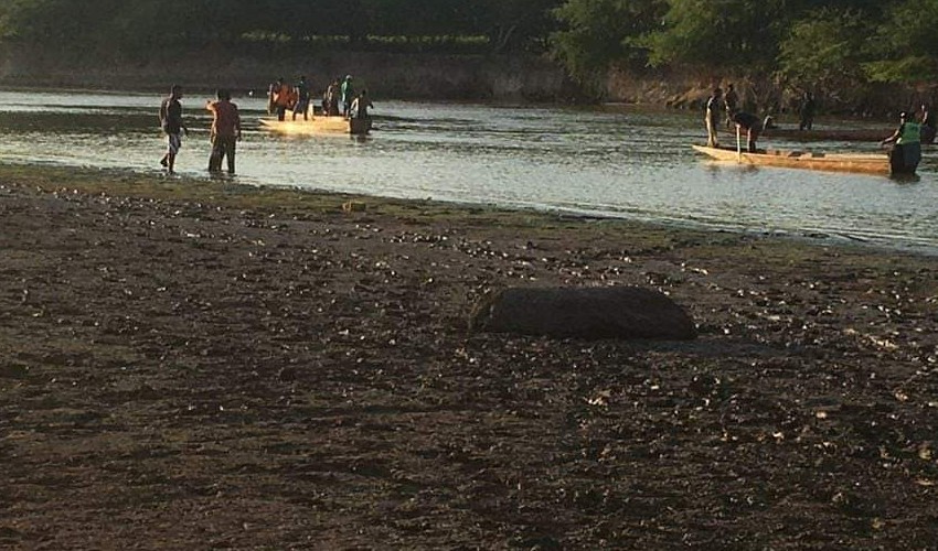 Al menos 14 ahogados durante un bautizo en un río en Sudáfrica 