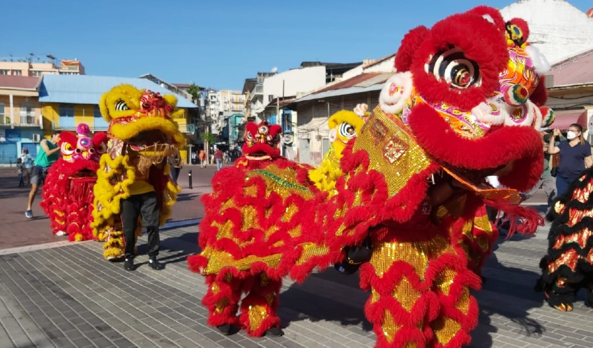 El Conejo de agua se prepara para celebrar el Año Nuevo Chino en Panamá 