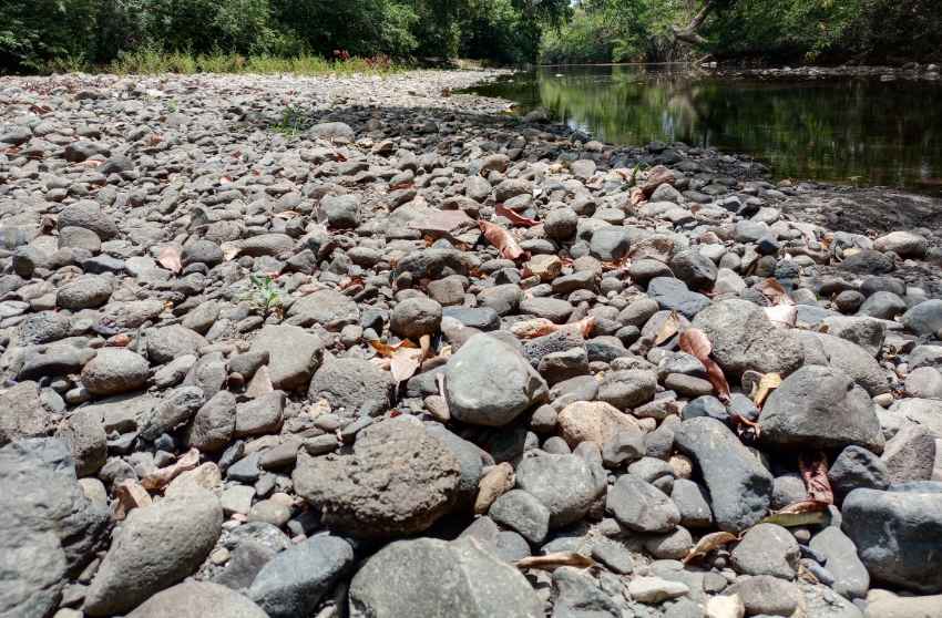 Preocupa el drástico descenso de Río Chame; desde 2016 no habían visto algo así 