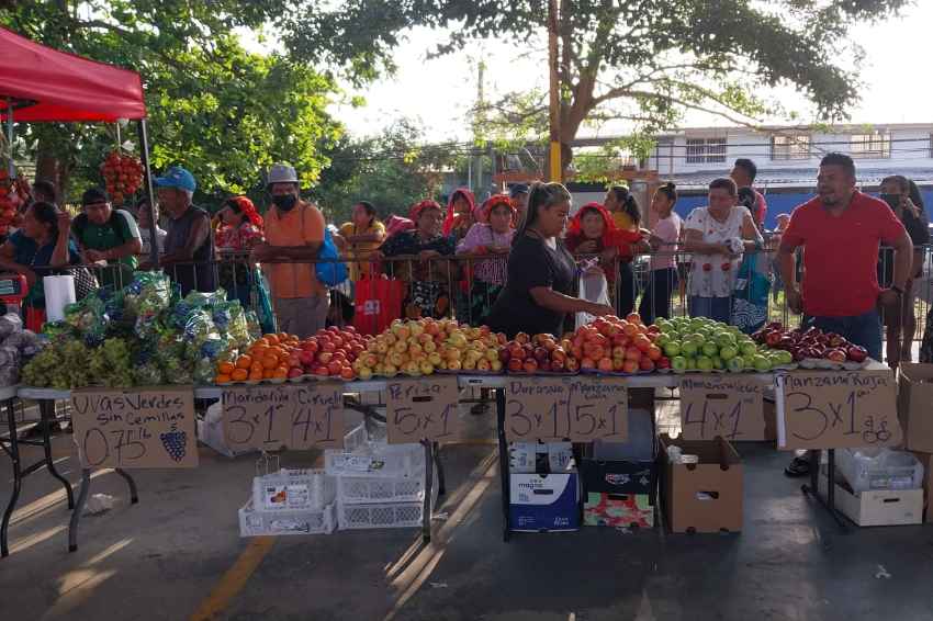 Residentes de Veracruz aprovecharon la 'Feria del Productor a Tu Comunidad', hubo hasta pruebas de VIH gratis 