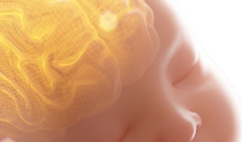 Confirman diferencias en el desarrollo del cerebro de los bebés según su sexo 