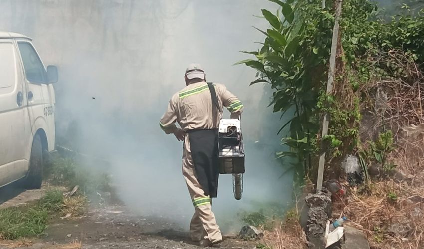 Unen esfuerzo para combatir el dengue en Colón 