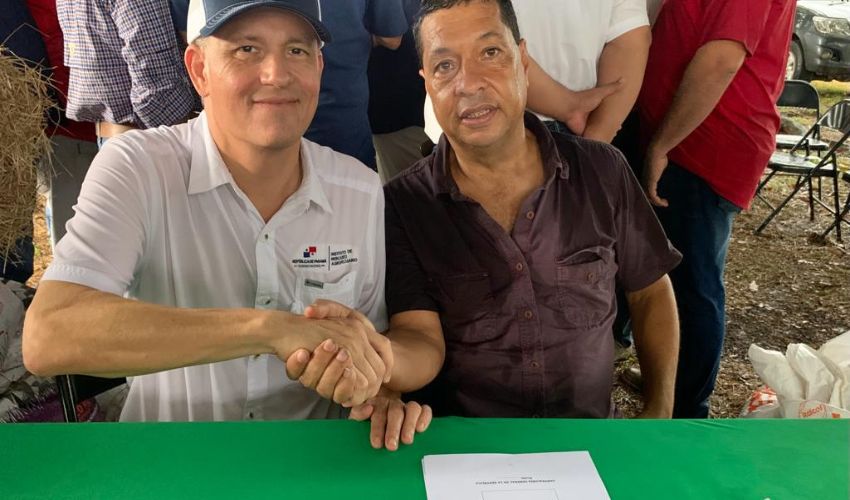 IMA adquirirá unas 400 mil libras de cerdos  