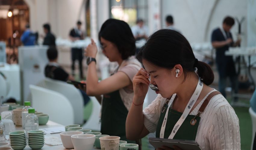 Geisha lavados impone su propio récord en el Best Of Panamá 