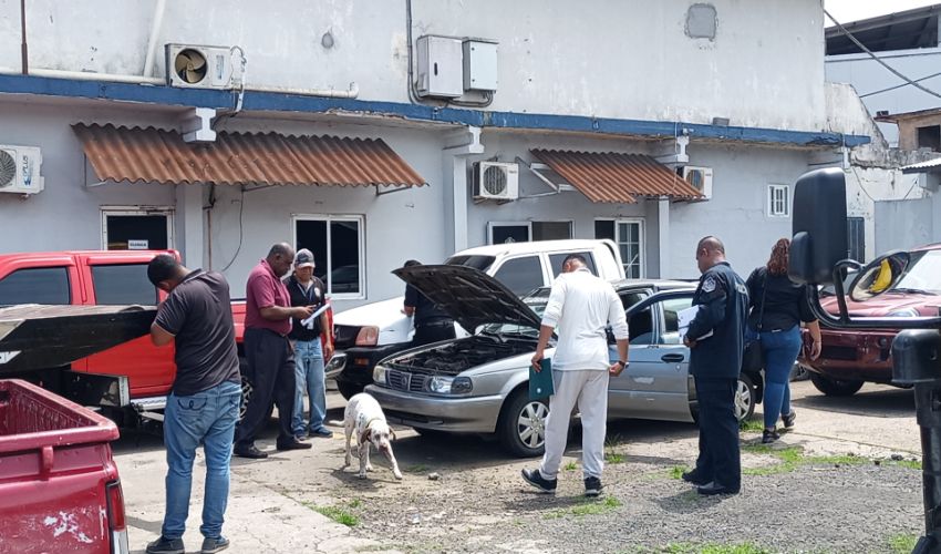 Fiscalía Anticorrupción devuelve autos incautados  