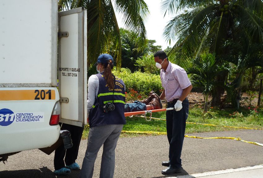 Atropello en El Espino cobra una vida; residentes denuncian poca iluminación en la vía 