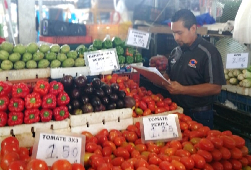 Precios en el  Merca Panamá siguen disminuyendo, según monitoreo de la Acodeco 