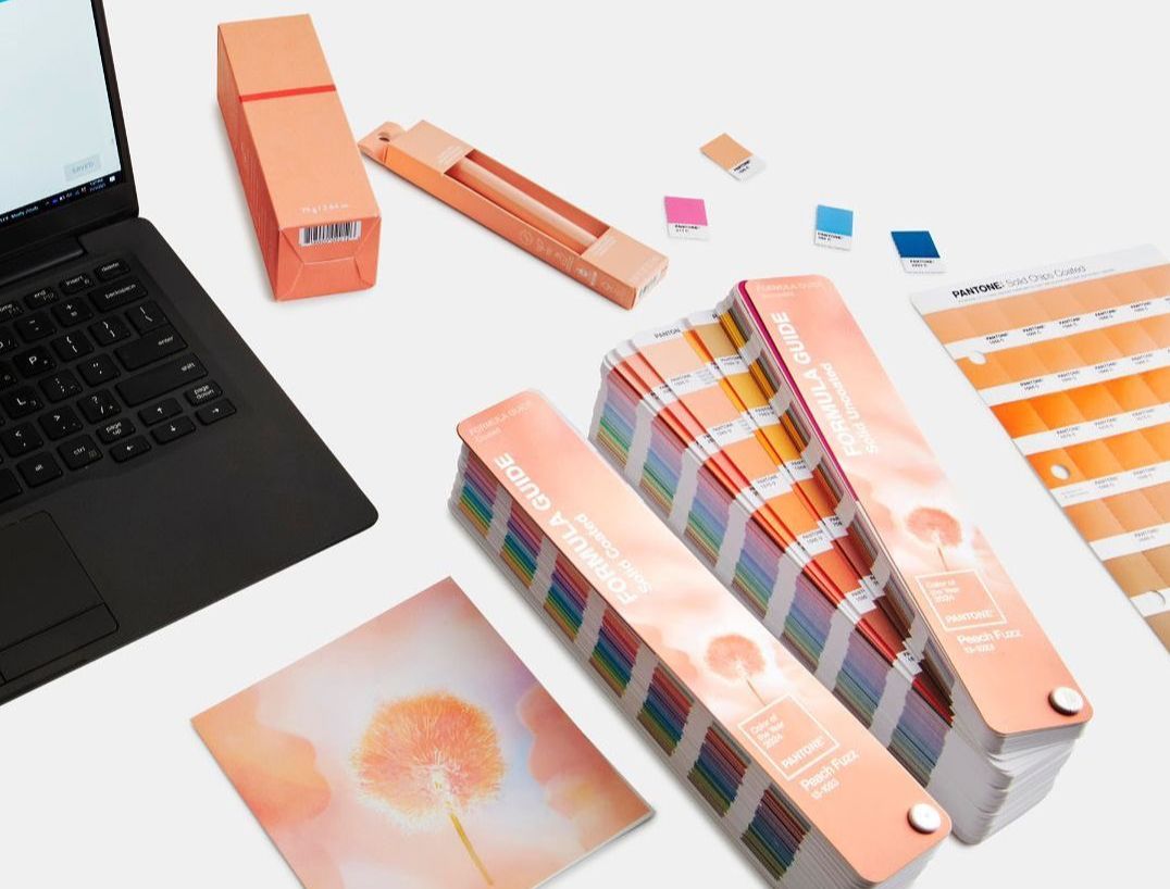 Prepárense para ver todo 'Peach Fuzz', el color del año 2024  