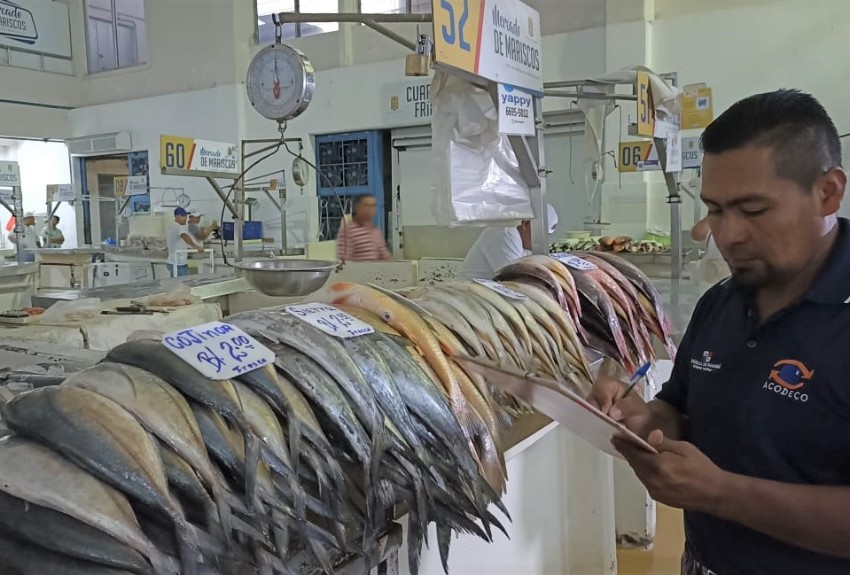 Reportan una rebaja en la variedad de pescados ofertados en el Mercado de Mariscos 